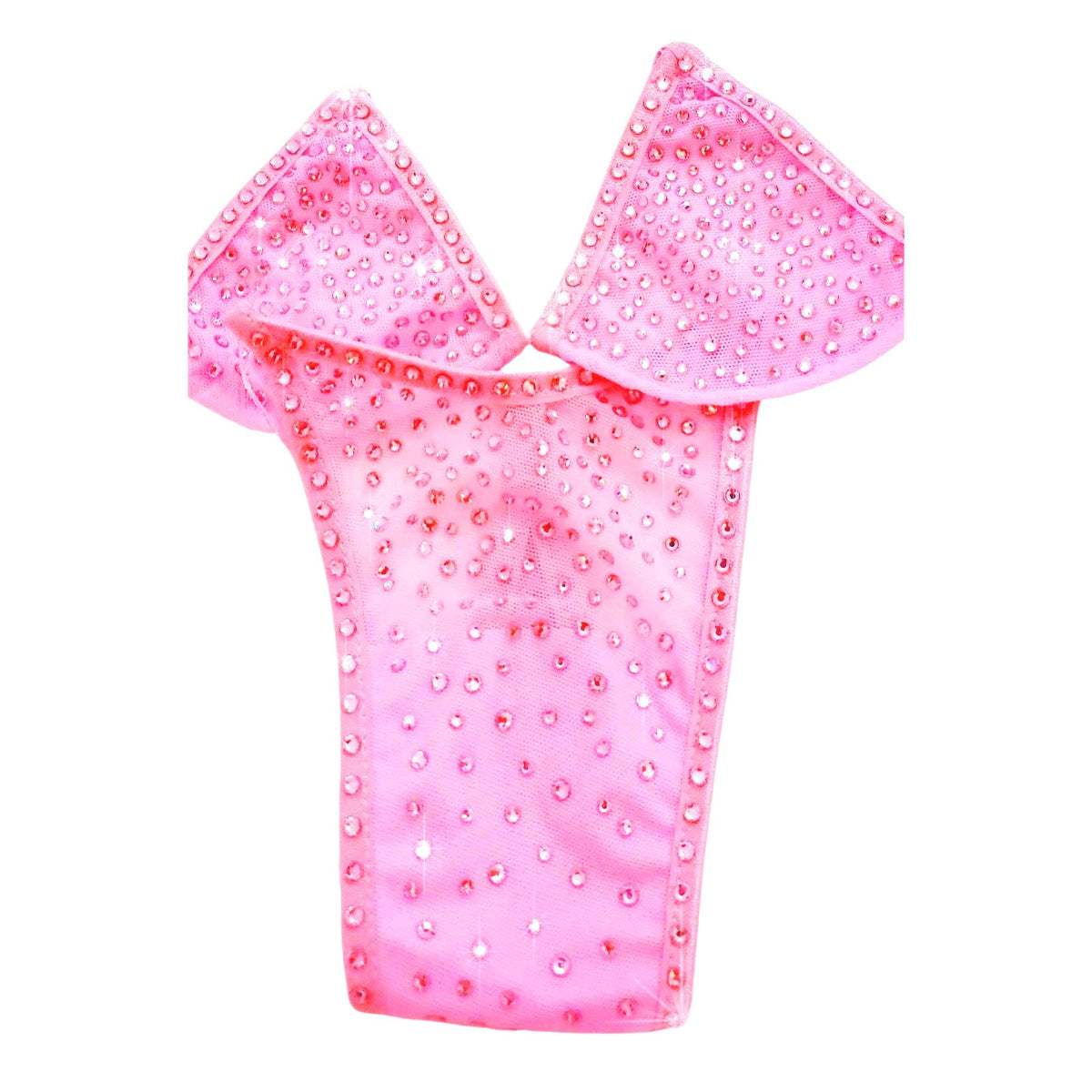 Extra Bedazzled Crystal Mesh Rhinestone bottoms: Exotic Dancewear