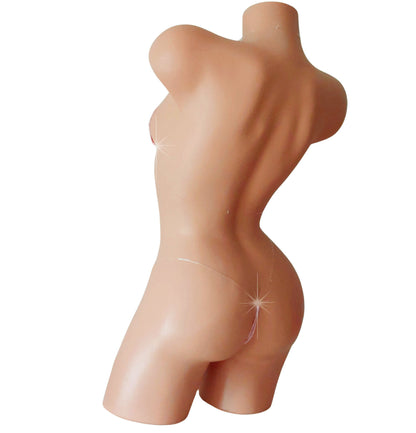 Mannequin torso on a white background