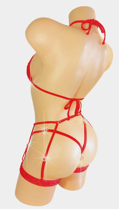 FROSTED! 4 piece Set - Halter Top, Thong, 2 Garters