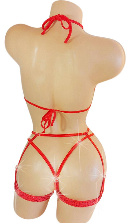 FROSTED! 4 piece Set - Halter Top, Thong, 2 Garters